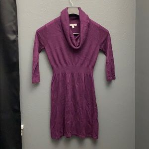 SPENSE TURTLE NECK SWEATER DRESS
